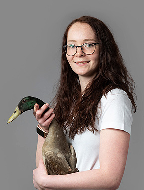 Tierarzt Tierklinik Marienberg
